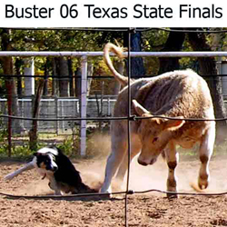 Buster @ Tx St Finals
